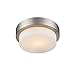 Metallic Finishes Multi-Family Flush Mount in the Pewter Finish 1270-09 PW by Golden Lighting