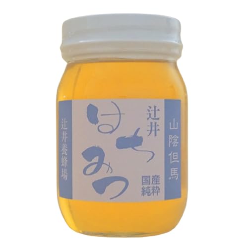国産純粋 マロニエはちみつ 500g 瓶 常温 辻井養蜂場 81-04