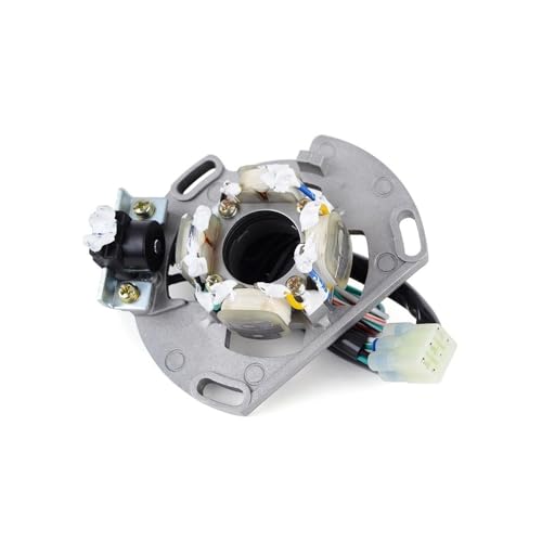 Bobine de stator de moto pour réparer l'allumage de la TC 85 46139004000