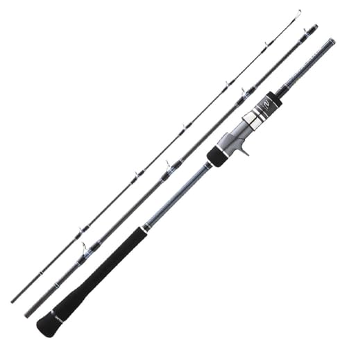 Hearty Rise Canne Jigging Skywalker Slow Jigging Casting - 1,91m - 187g - P.340Gmax - Enc.67cm - Hysws633C340