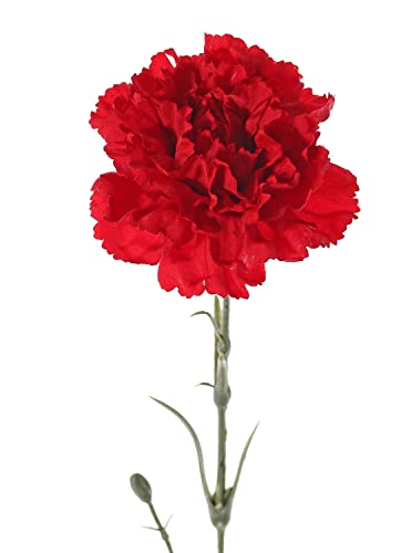 artplants.de Clavel Artificial VANERA, Rojo, 60cm, Ø8cm - Clavel de plástico