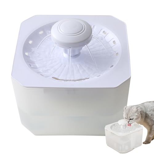 Distributeur d'eau pour chien et chat d'intérieur antidérapant 2500ml