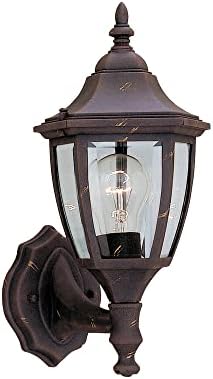 Designers Fountain 2462-AG Builder Cast Aluminum Collection 1-Light Exterior Wall Lantern, Autumn Gold Finish with Clear Beveled Glass
