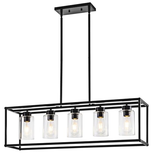 HCCZ 5-Light Matte Black Chandelier