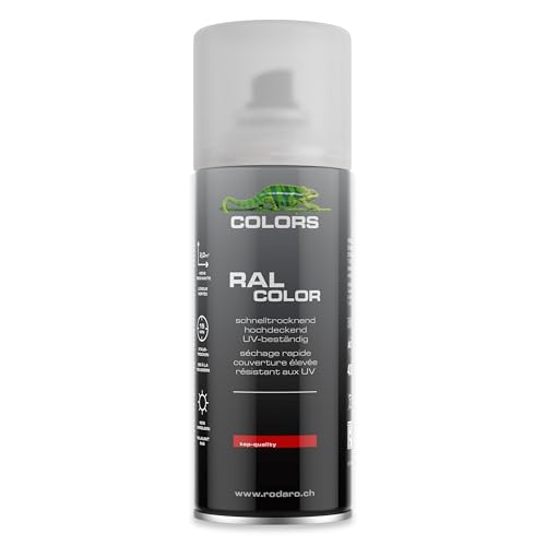 COLORS Sprühlack - 400ml Spraydose - Sprühfarbe für alle Oberflächen Innen und Aussenbereich Tolle Deckkraft | Klarlack Matt