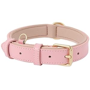 HEELE Collier pour Chien, en Cuir, Collier de Chien Ajustable Coussin Moelleux Cuir Nouvelle Couleur de Rembourrage pour Petits, Moyens ou Grands Chiens, Rose, XS