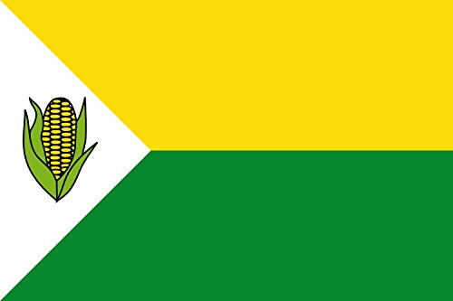 Drapeau Pelaya Cesar grand modèle avec finitions renforcées