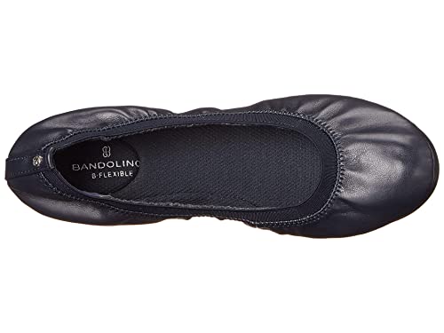 Image of Bandolino Edition 8