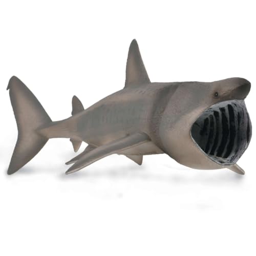 Requin pèlerin - XL - 88914 - Collection - Figurine à collectionner (Deqube 90188914)