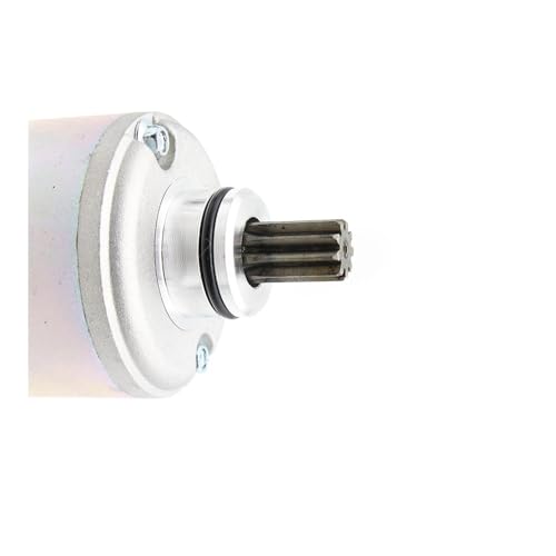 Motor de arranque compatible con GZ250 Marauder y LT300 Quadrunner 300 4