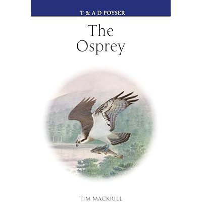 The Osprey
