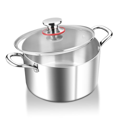 HaWare 5.8L Stock Pot, Tri-Ply Stainless Steel Soup Pot with Visible Lid, 24cm Cooking Induction Stockpot for Pasta/Meat/Soup, Suit for All Kitchen Stove Top, Healthy & Non Toxic, Easy Clean