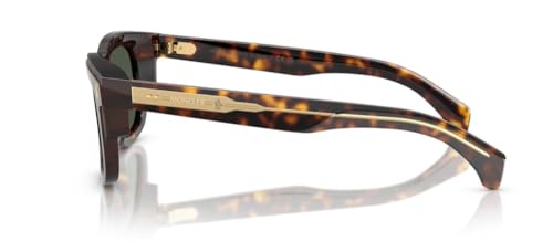 Moncler ME6004 HAVANA/GREEN 51/21/145 unisex Sunglasses3