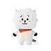 BT21 Official Merchandise by Line Friends - RJ Character Mini Flat Body Cushion