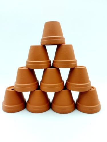 meytrade Pflanztopf Tontopf Blumentopf extra klein Mini Anzucht 10er Set Terracotta Durchmesser je ca. 3,5 cm/Höhe ca. 3 cm Made in Germany, Ton01
