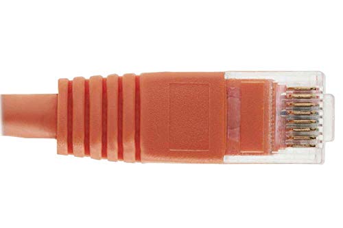 Cable de red SF Cable Cat 6 UTP 10 ft naranja miniatura 3