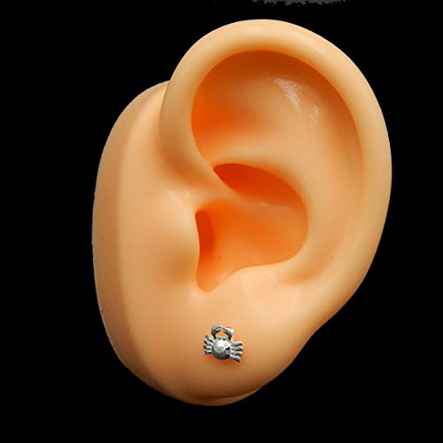 925 Sterling Silver Small Tiny Crab Stud Earrings 223142