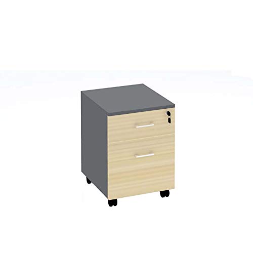 Movable Storage with 2 Drawers Multipurpose Movable Drawer Unit for ...