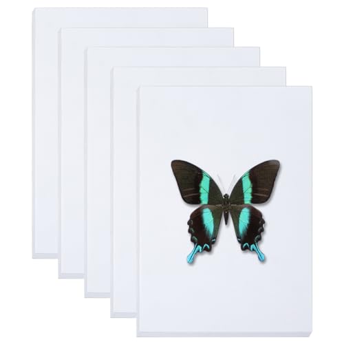 Image of WEBEEDY 5 Pcs White Insect Pinning Board 20.5x14cm /8.1x5.5'' Butterfly Specimen Display Panel EVA Foam Boards Insect Collection Display Supplies for Science Entomology Projects Display