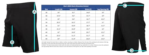 Raven Fightwear Men's Celtic MMA Shorts BJJ3