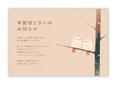 年賀状じまい ハガキ 10枚入り【年内にお知らせ】私製はがき(翌年も使えるデザイン)【フチなし全面プロ仕上げ】パピレイSDJ-221