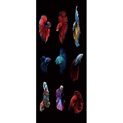 A.Monamour 3D Betta Fish Door Stickers Cover