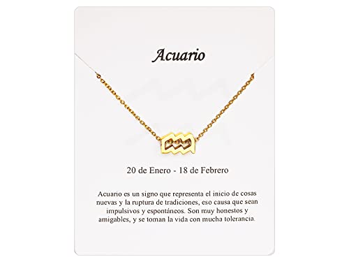 Collar Signo Zodiaco Acuario Acero Inoxidable hermosa Tarjeta Significado Signo Zodiacal Colgante Horóscopo Para mujer o Hombre Regalo Cumpleaños (Acuario Dorado) Cover