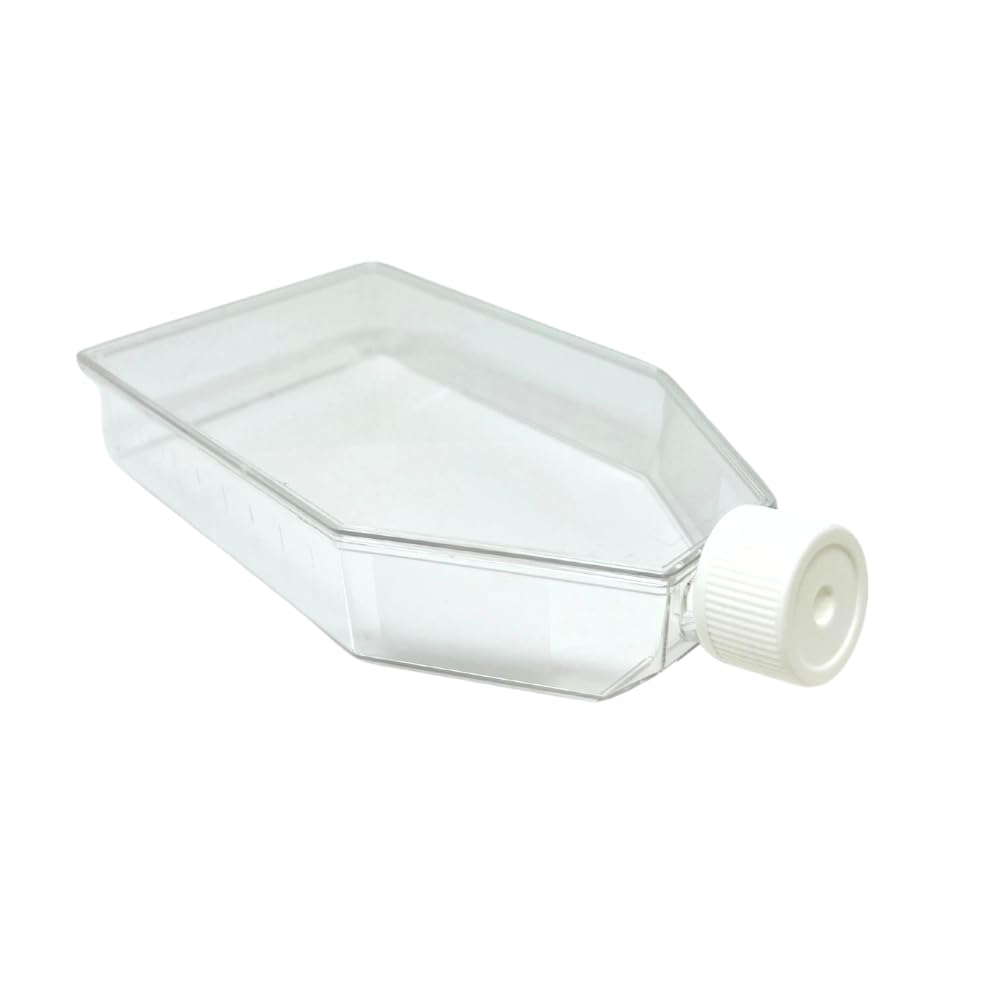 SPL Cell Culture Flask 175 cm2 (T175) Filter Cap Non-Treated, Sterile 40/Case