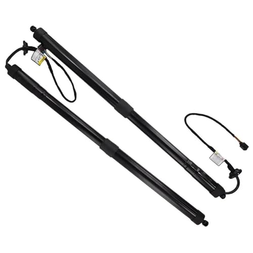 31463261 p[e[Q[gT|[g ɓK {{ V60 2019 2020 2021 2022 2023 2024 de[Q[g KXXgbg