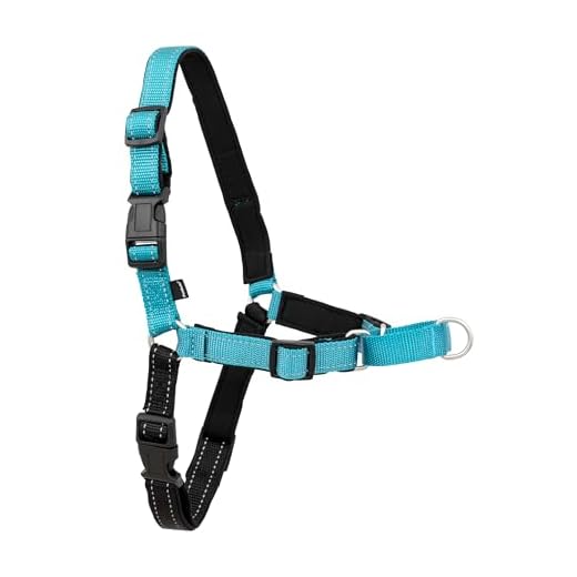 PetSafe Easy Walk Deluxe Dog Harness, No Pull Dog Harness – Perfect for Leash & Harness Training – Stops Pets from Pulling and Choking on Walks – Medium, Ocean Blue