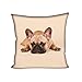 Showudesigns Housses de coussin carrées marron 45,7 x 45,7 cm - Motif bouledogue français - Pour salon, chambre, canapé, lit, banc