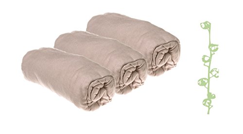 Easy dort Lot de 3 draps Housse Coton Bio pour lit 70x160 Noisette