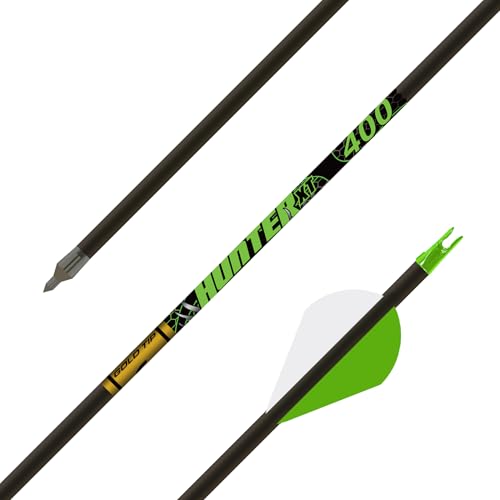 Gold Tip Hunter XT Arrows with Raptor Vane (Pack of 6) Black 400