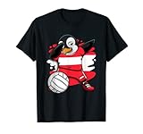 Teeisle Austria Volleyball