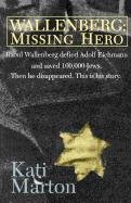 Wallenberg: Missing Hero