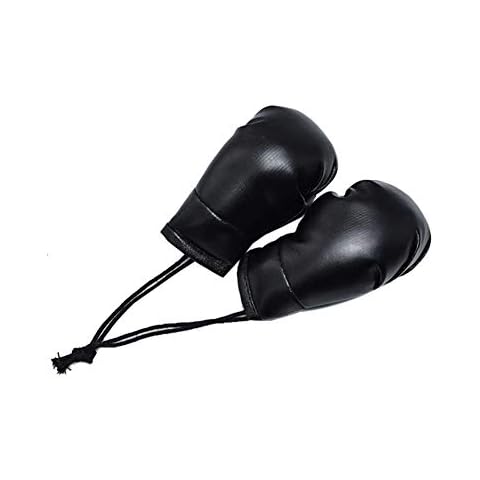 Colgante de guantes de boxeo para coche Cover
