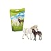 Produktbild Schleich 42423 Pony Stute und Fohlen