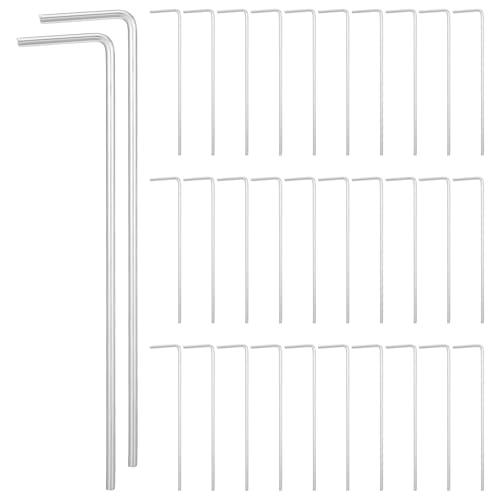 Loigohon egyO 32{ Lvp S nʌŒY ^[v VF^[݉cɋxϋv ΍