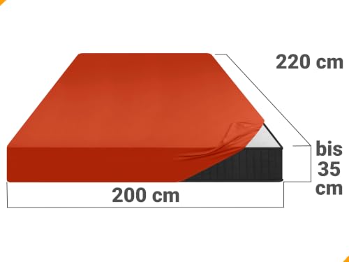 npluseins Jersey Spannbetttuch Baumwolle, 200x220 cm, Kaminrot – Ansicht 3