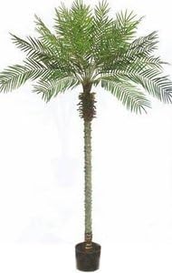 One 7.5 Foot Artificial Phoenix Palm Tree Potted Indoor Outdoor Date Florida