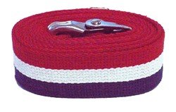 60 inch Patriot Stripe Gait Belt