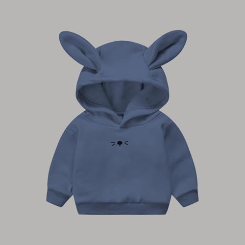 Toddler Boy Girl Fall Outfit Long Rabbit Ear Hoodie Sweatshirt Pullover Long Sleeve Cute Bunny Hooded Outfit Tops2