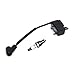 Zündspule 41444001319 Zündspulenmodul Zündkerze CMR6H. Kompatibel mit S-TIHL FS70 FS70R FS70C FS70R FS70RC Pinselcutter Graststrimmer Magneto. Lieferungen und Gartengeräte. ( Color : Black )