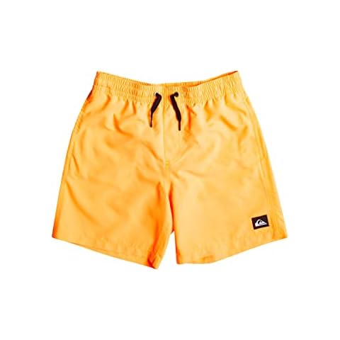 Quiksilver Short de Natación Everyday 13" Cover