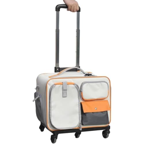 uNexPonvybg L[P[X L[obO ybgJ[g OρAybgL[P[X LX^[t lʋC 萫  ܂肽 ^ELp L[obO }bgt ʉ@ h U sp (A)