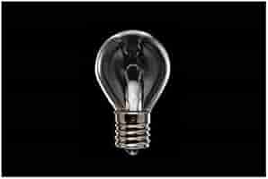 非常灯用電球 PIL8.4V20WS35E17 40個セット Amazon.co.jp: 川上ランプ 非常灯用電球 E17口金 4．8V