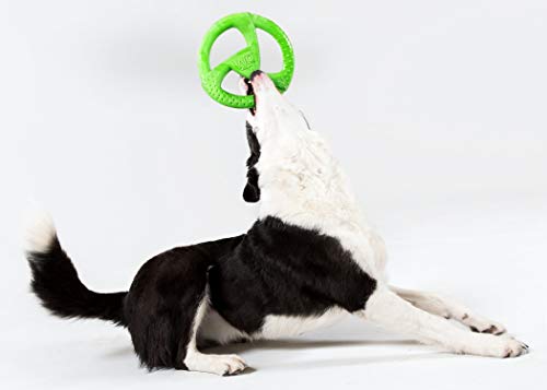 Durable USA Fetch Dog Toy
