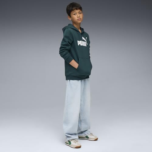 PUMA ESS No. 1 Logo Hoodie FL B