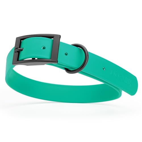 Image of Dogline Biothane Waterproof Dog Collar Strong Coated Nylon Webbing with Black Hardware Odor- Proof for Easy Care Easy to Clean High Performance Fits Small Medium or Large Dogs, Teal