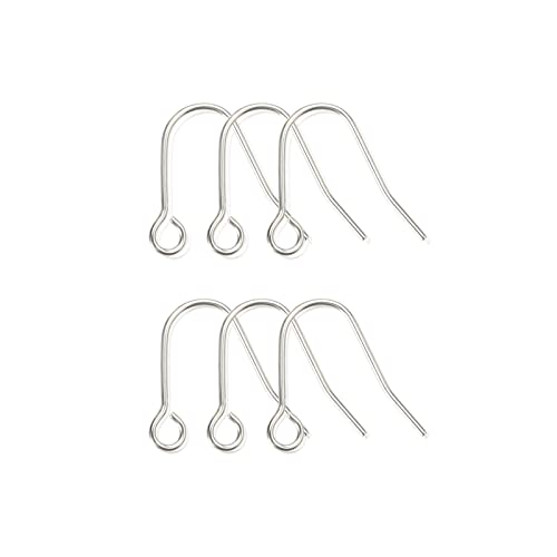 6Pcs 20G Small Pure Titanium Earring Fish Hooks Diy Earrings Findings For Jewelry Making, Hypoallergenic Earring Hooks Making Kit For Women Girls Men Sensitive Ears #TOP19